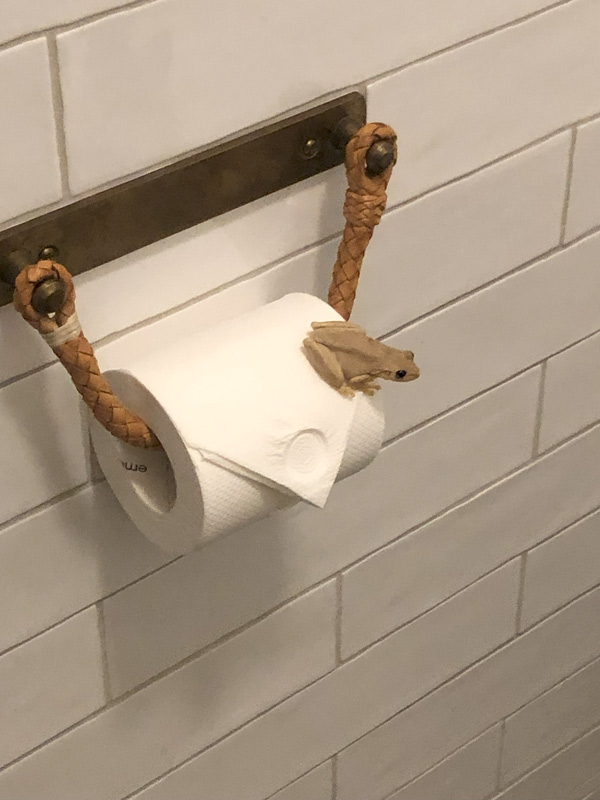 Bullo River Station toilet frog