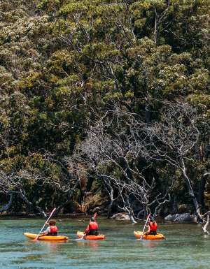 bundeena kayaks group exploring sutherland shire