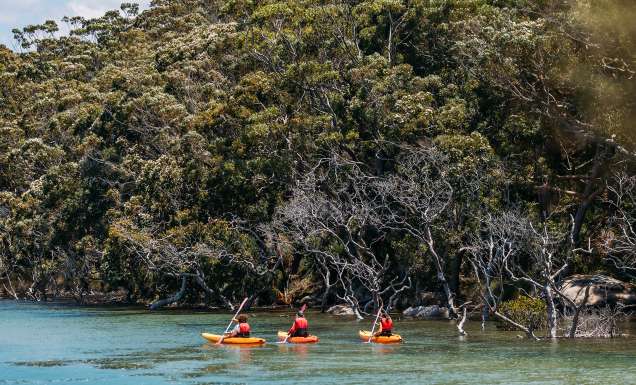 bundeena kayaks group exploring sutherland shire