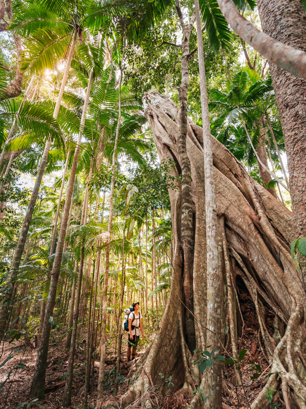 the Cooloola Great Walk in Great Sandy National Park