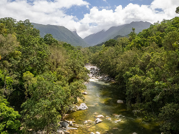 mosman, daintree rainforest places in australia