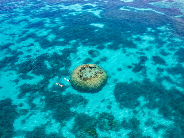 aerial shot of two people snorkelling in the great barrier reef