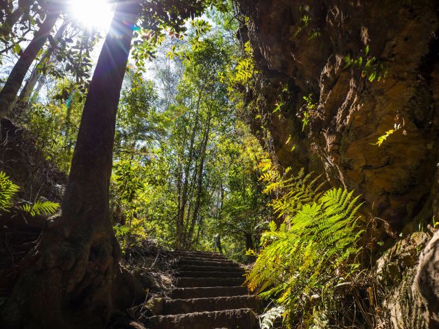 The scenic Grand Canyon Walking Track in the Blue Mountains National Park, Blackheath.