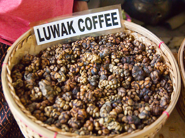 basket of luwak coffee in indonesia