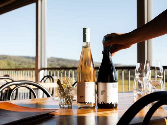 holding wine bottles on the table at Gemtree Vineyards, McLaren Vale