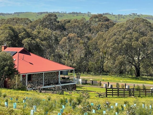 Willunga 100, McLaren Vale wineries