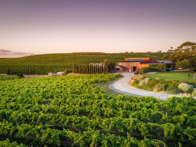 the scenic Coriole Vineyards, McLaren Vale