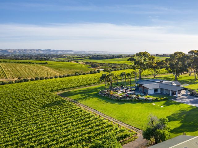 Mollydooker Wines vineyards from above 