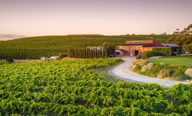 the scenic Coriole Vineyards, McLaren Vale