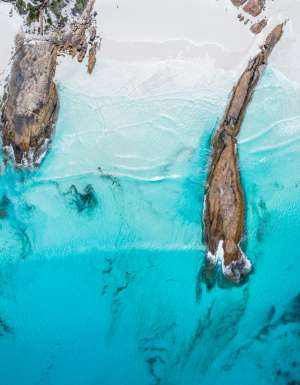 Lucky Bay in Esperance, WA