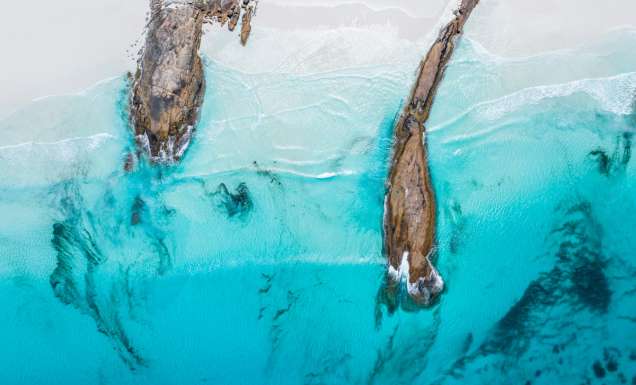 Lucky Bay in Esperance, WA