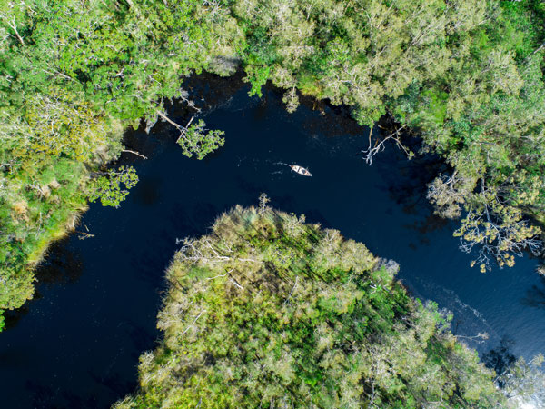 an aerial view of the Noosa Everglades