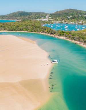 the foreshore pathway along the Noosa River