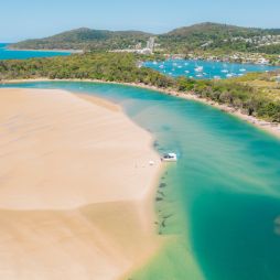 the foreshore pathway along the Noosa River