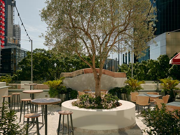 rooftop bar of The Sussex Hotel