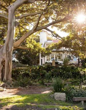 Wendy Whiteley's Secret Garden is one of the most romantic places in sydney