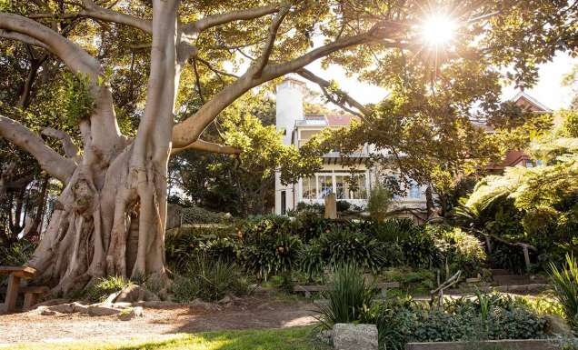 Wendy Whiteley's Secret Garden is one of the most romantic places in sydney