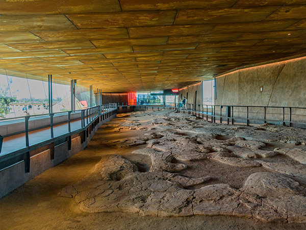 dinosaur footprints at Australian Age of Dinosaurs in winton qld