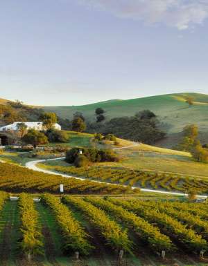 Barossa Valley wineries