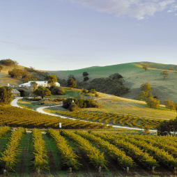Barossa Valley wineries