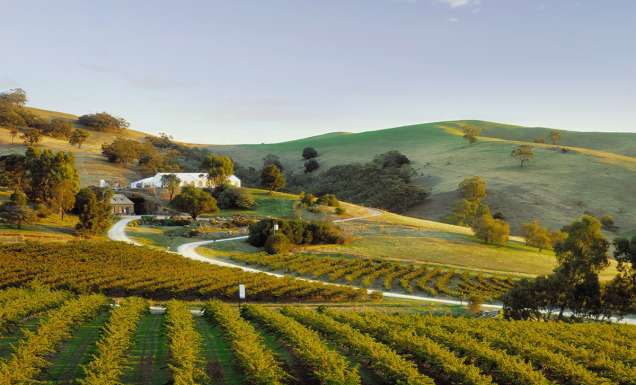 Barossa Valley wineries