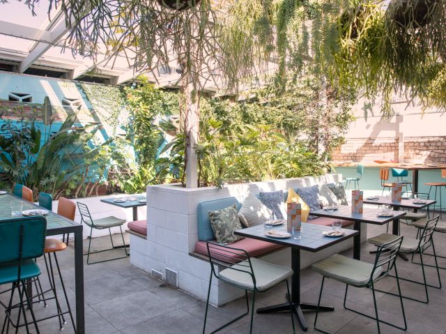 the sunny garden at SoCal, Sydney