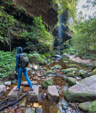 <p><i>AllTrails reveals the 5 most popular hikes</i> in <strong>Australia</strong></p>

