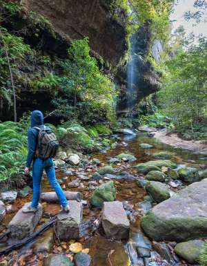 AllTrails reveals the 5 most popular hikes in Australia
