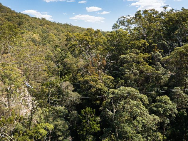 TreeTop Challenge, Tamborine Mountain