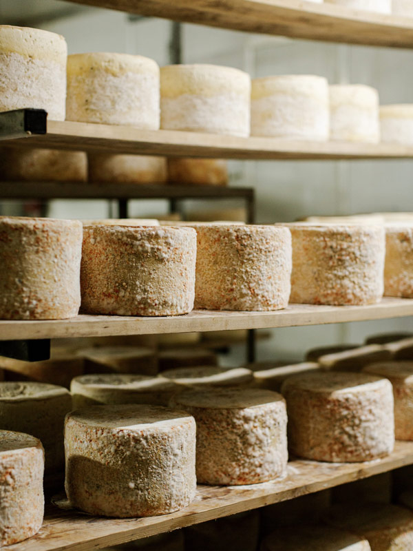 washed-rind cheeses at Milawa Cheese Company