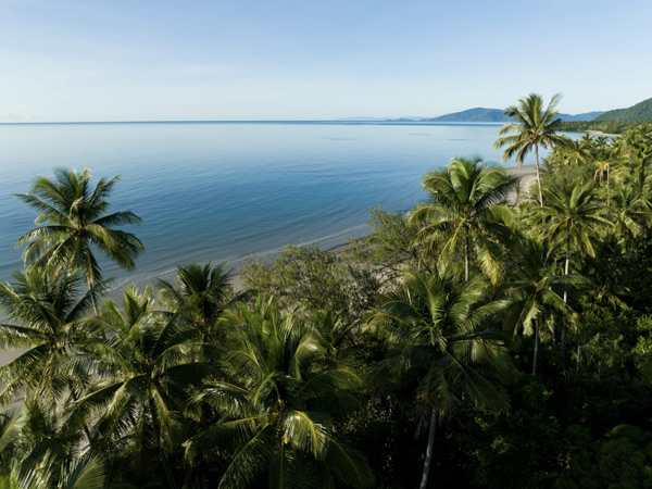 an aerial view of a rainforest and beach at Tropical North Queensland