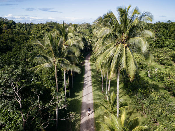 the palm-tree-laden Tropical North Queensland