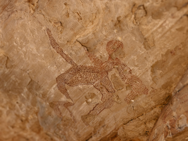 an Aboriginal rock art