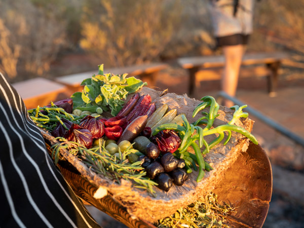 native bush foods at Tali Wiru