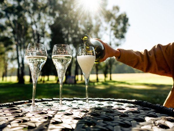 a relaxed wine tasting at Sam Miranda King Valley