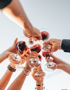 friends holding their wine in the air