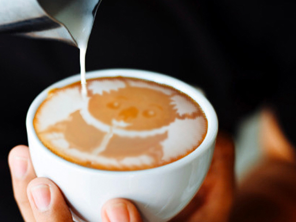 coffee koala at The Meeting Point Cafe, Port Macquarie