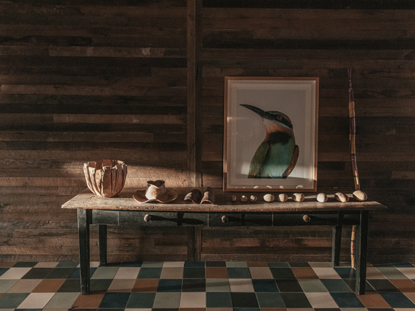 rainbow bee-eaters painting at the guest wing of Bullo River Station