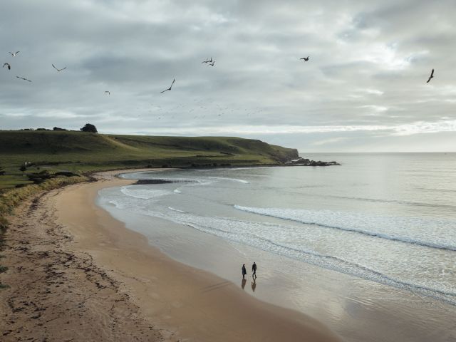 Godfreys Beach in Stanley, Tasmania