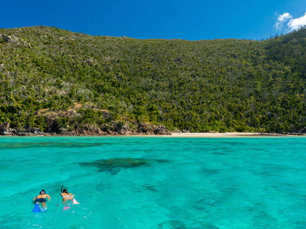 Hook Island snorkellers, The Whitsundays