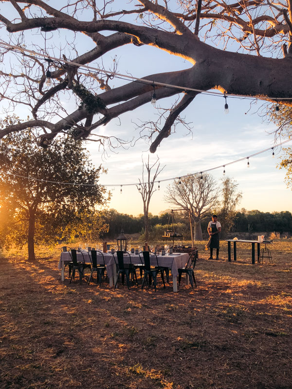 dinner under the canopy of a majestic boab in Bullo