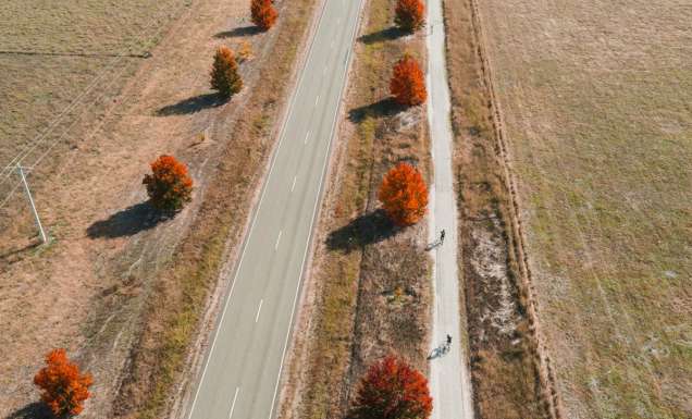 cycling through the Milawa Rail Trail