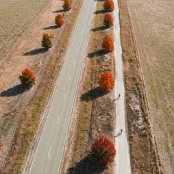 cycling through the Milawa Rail Trail