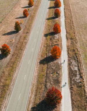 cycling through the Milawa Rail Trail