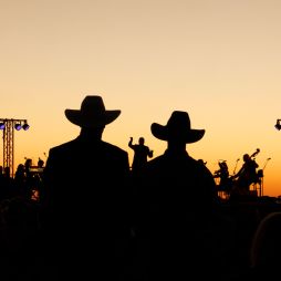 sunset silhouette at Singing In The Night