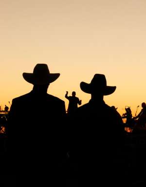 sunset silhouette at Singing In The Night