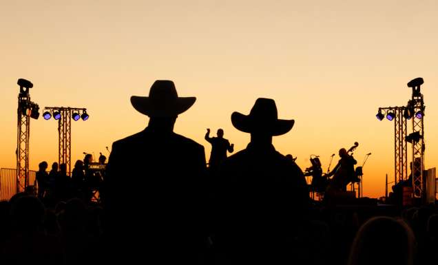 sunset silhouette at Singing In The Night