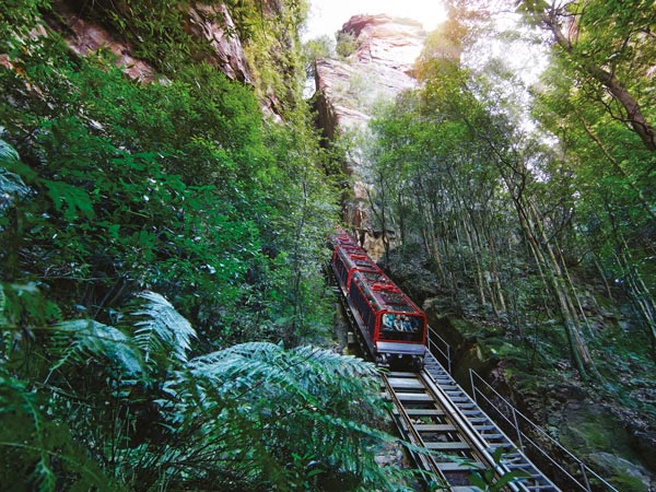Scenic World railway in lush greenery