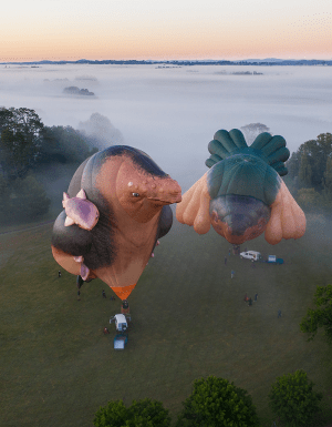 Skywhales Across Australia