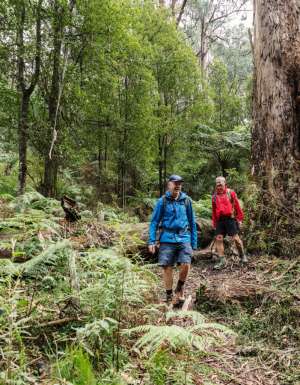 Parks Victoria reveals 3 new wellness trails for the ultimate reset